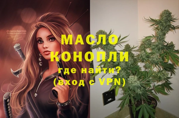 стаф Осинники