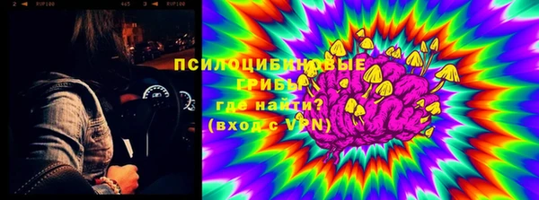 стаф Осинники