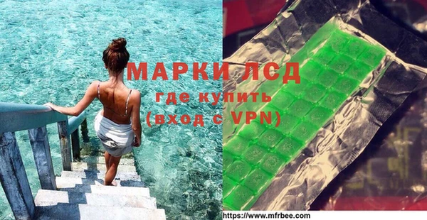 стаф Осинники