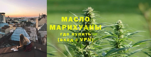 стаф Осинники